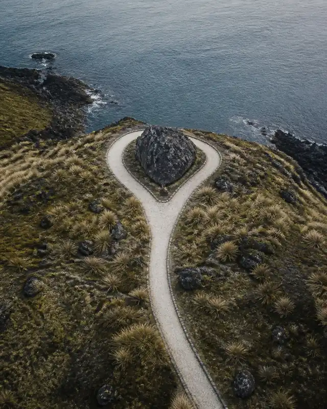 A coastal path dividing around a rock beside the water